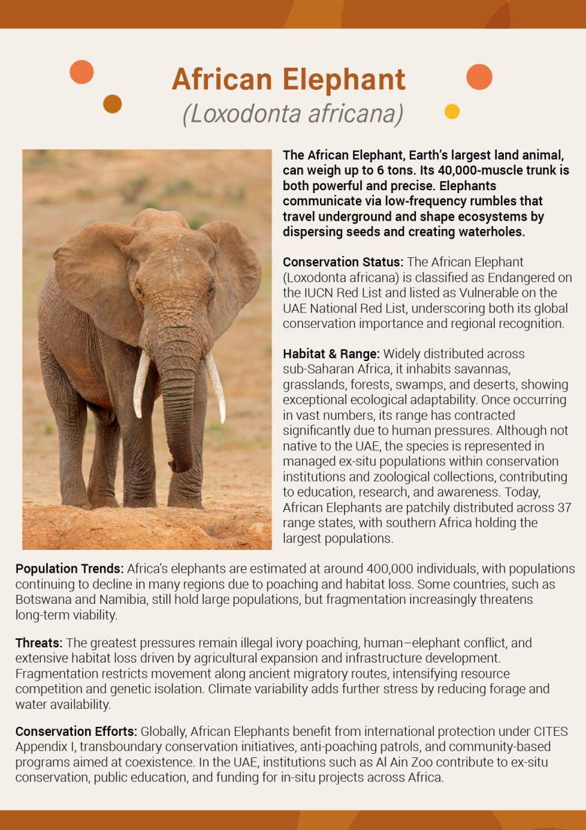 iucn-elephants
