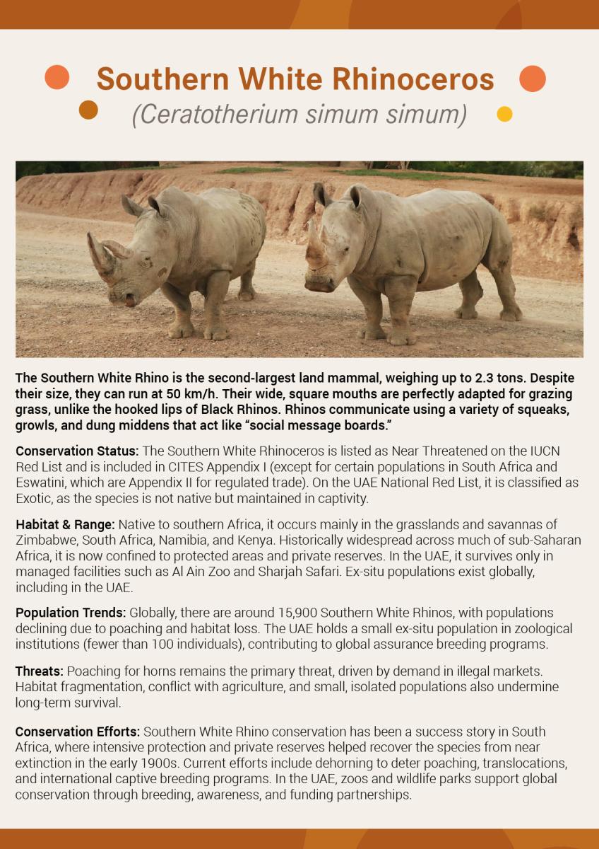 IUCN-Rhino
