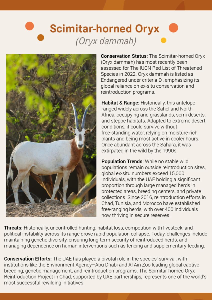 iucn-scimitar horned oryx 
