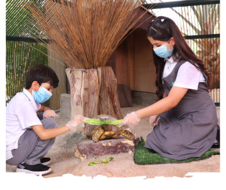 childrendiscoveryactivity